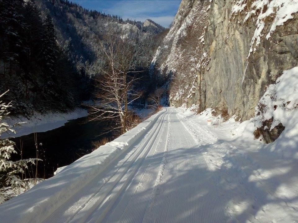 Schronisko Pttk Orlica Hotell Szczawnica Eksteriør bilde